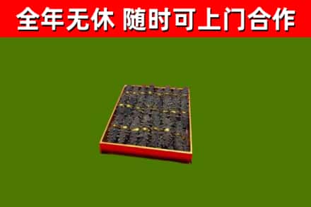 广宁烟酒回收海参.jpg